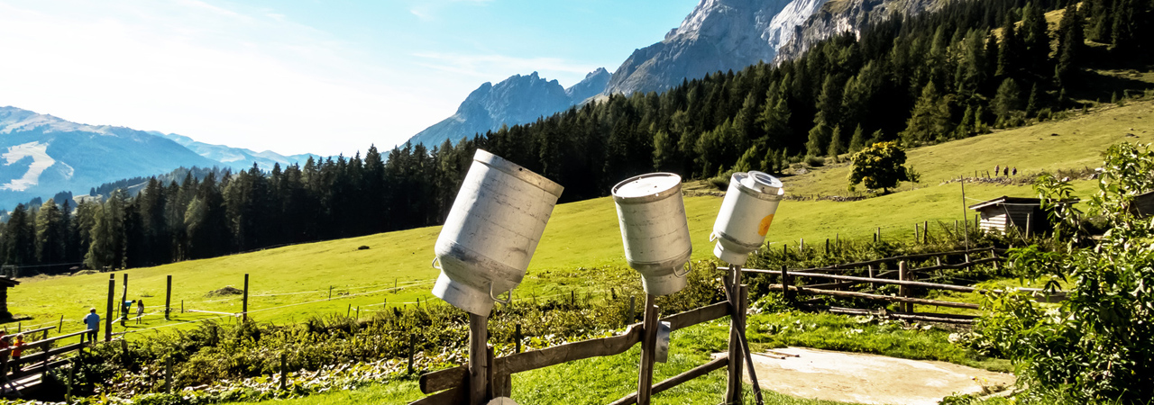 Milchkannen, Alm © Gina Sanders / Fotolia Milchkannen, Alm © Gina Sanders / Fotolia